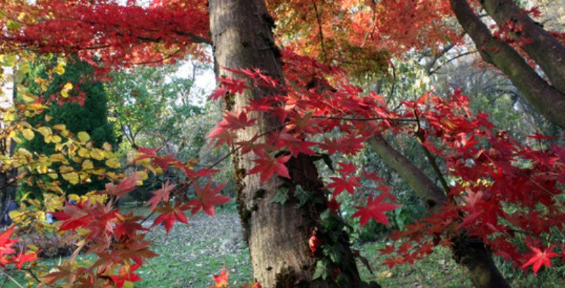 Arboretum Robert Ruffier-Lanche, Gières, France, France